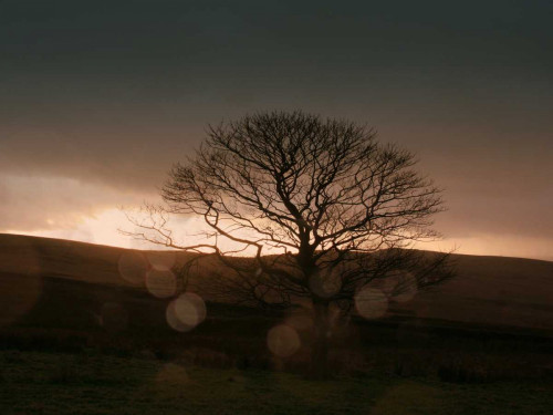 Stormy Sunset II Poster Print - Lillian Bell