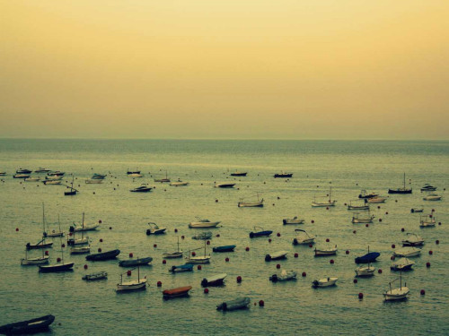 Sunset Harbour II Poster Print - Lillian Bell