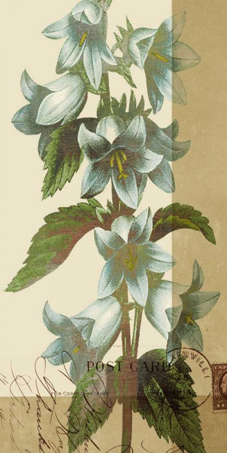 French Blue I Poster Print - W. Green-Aldridge