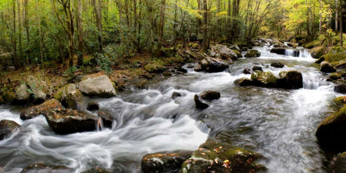 Up the Creek Panorama Poster Print - Danny Head