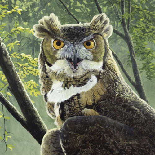 Great Horned Owl Poster Print - Fred Szatkowski