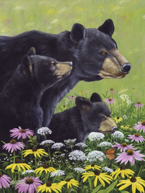 Black Bears Poster Print - Fred Szatkowski