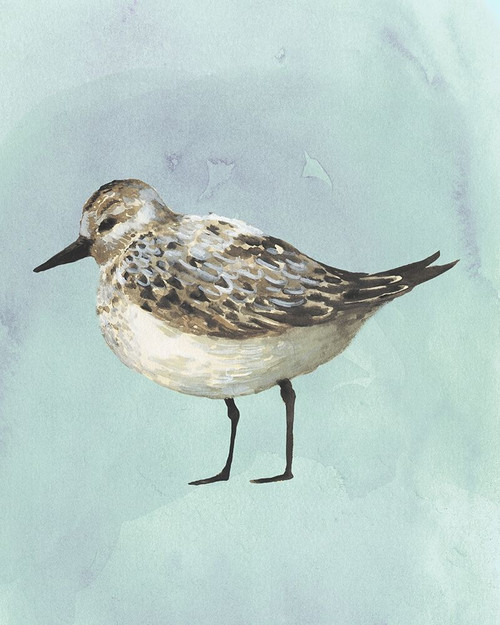 Watercolor Beach Bird V Poster Print - Grace Popp