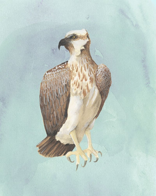 Watercolor Beach Bird IV Poster Print - Grace Popp