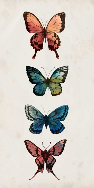 Fairy Study I Poster Print - Grace Popp