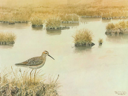 Waiting Poster Print - George Sutton