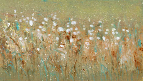 Meadow Blossoms I Poster Print - Tim OToole