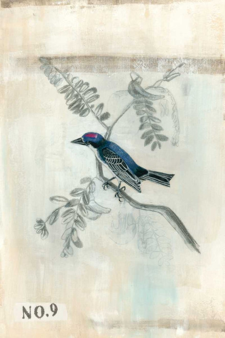 After Flight IV Poster Print - Naomi McCavitt