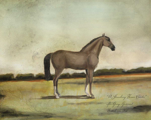 A Strawberry Roan Hunter Poster Print - Naomi McCavitt