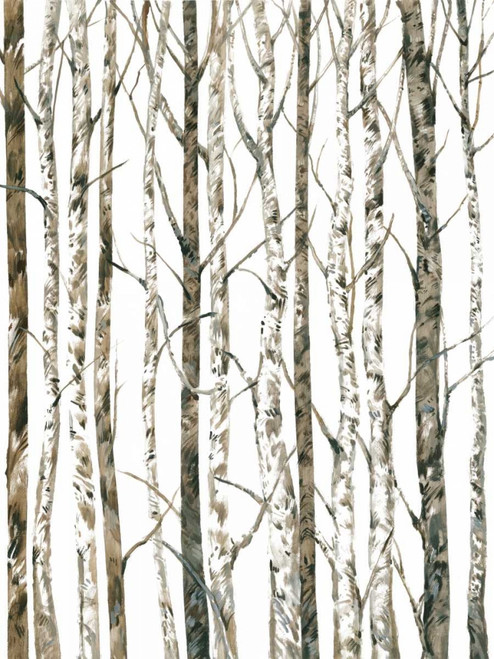 Bare I Poster Print - Tim OToole