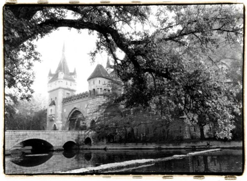Vajdahunyad Castle, Budapest Poster Print - Laura DeNardo