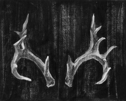 Rustic Antlers I Poster Print - Ethan Harper