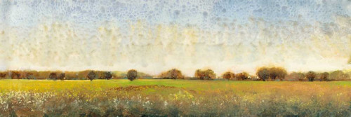 Flowering Meadow II Poster Print - Tim OToole