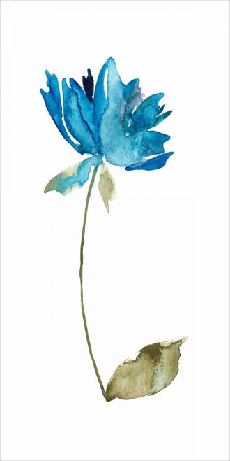 Floral Watercolor VI Poster Print - Kiana Mosley