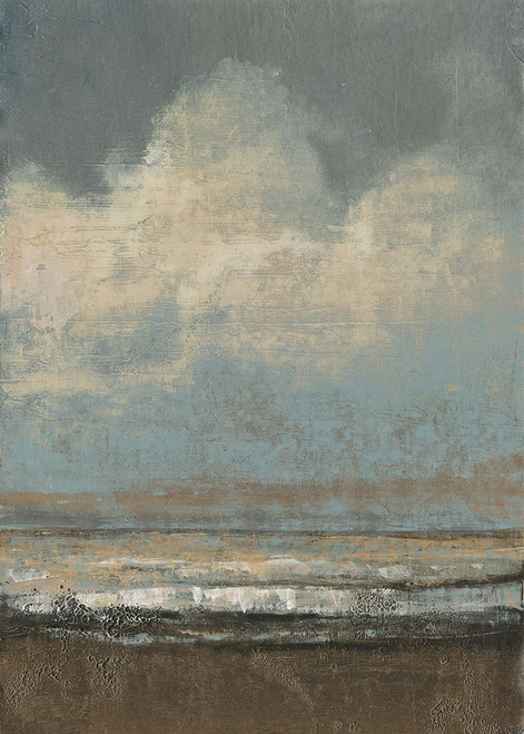 Low Tide II Poster Print - Tim OToole