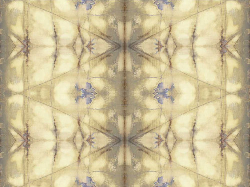 Mirrored Abstraction II Poster Print - Jennifer Goldberger