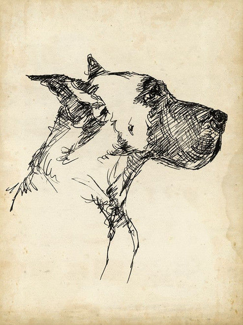 Breed Studies IV Poster Print - Ethan Harper