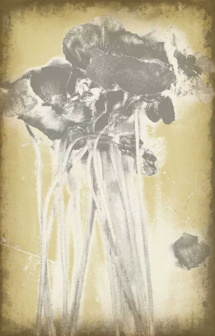 Poppies in Relief I Poster Print - Jennifer Goldberger