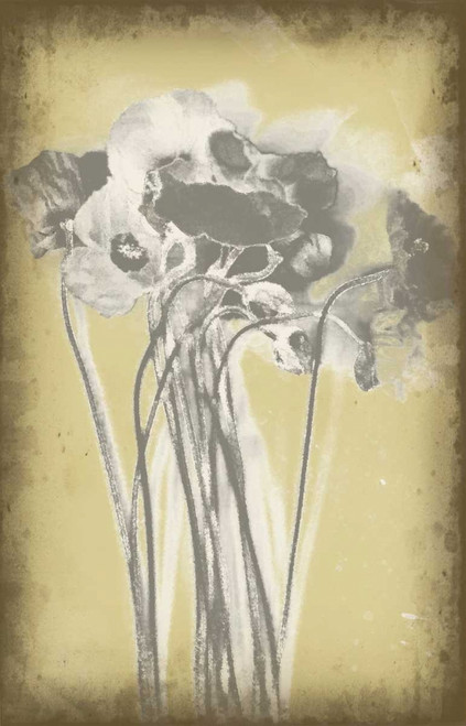 Poppies in Relief III Poster Print - Jennifer Goldberger