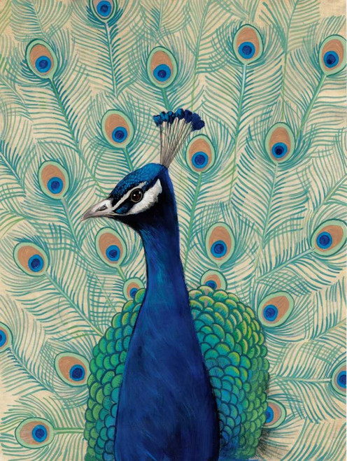 Blue Peacock II Poster Print - Tim OToole