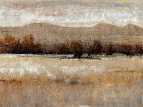 Umber Light I Poster Print - Tim OToole