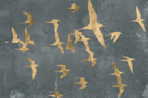 Silhouettes in Flight IV Poster Print - Jennifer Goldberger