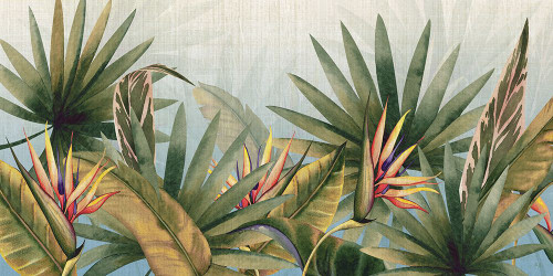 Belize Morning Poster Print - Susan Jill