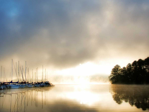 Breaking Through I Poster Print - Danny Head