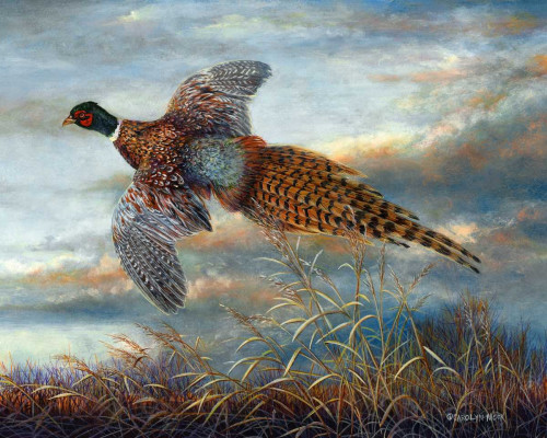 Taking Flight Poster Print - Carolyn Mock