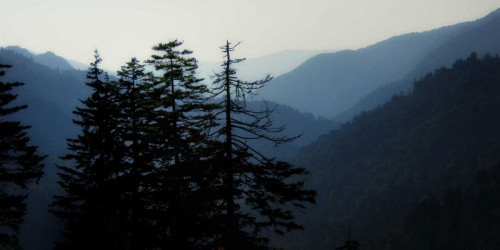 High Country Silhouette I Poster Print - Danny Head