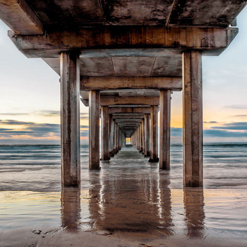 Under Scripps Pier Poster Print - Danita Delimont
