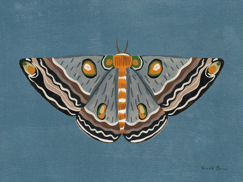 Textured Moth I Poster Print - Farida Zaman