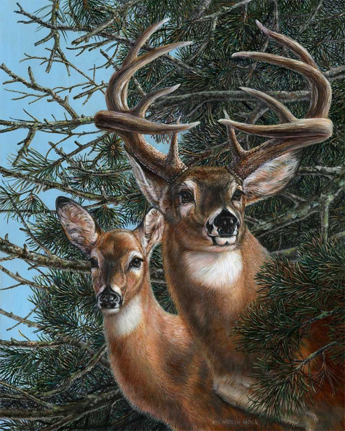 Edge of the Pines Poster Print - Carolyn Mock