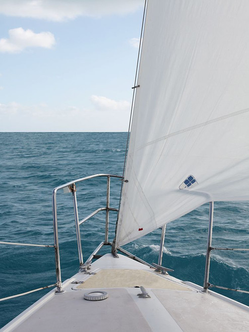 Voyage I Poster Print - Susan Bryant