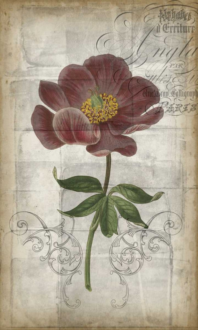 French Floral I Poster Print - Jennifer Goldberger