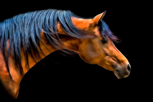 Wind Swept Poster Print - PHBurchett