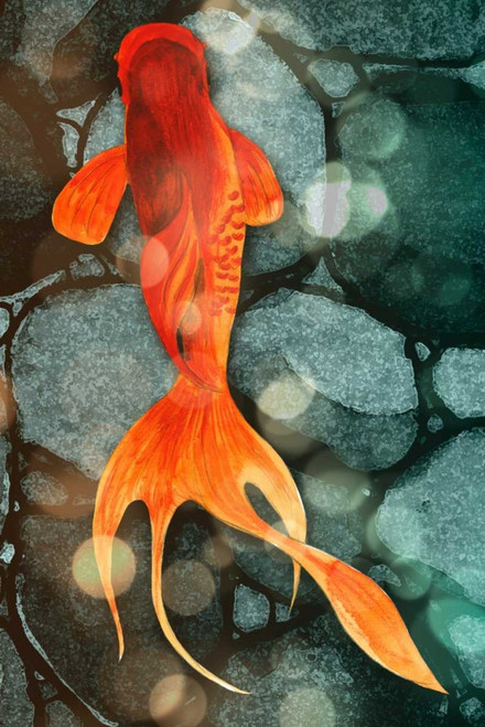 Fantail II Poster Print - Alicia Ludwig