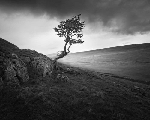 Outcrop Poster Print - Martin Henson