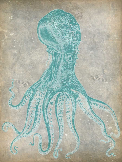 Spa Octopus II Poster Print - Jennifer Goldberger