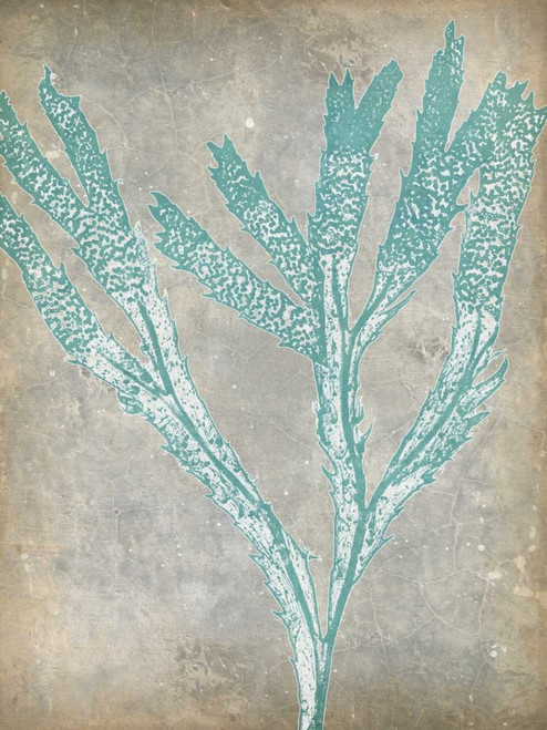 Spa Seaweed II Poster Print - Jennifer Goldberger