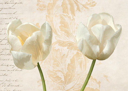 Two Tulips Poster Print - Elena Dolci