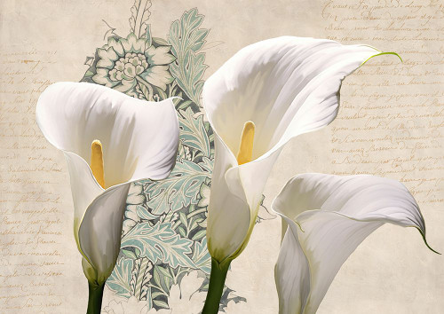 Three Callas Poster Print - Elena Dolci