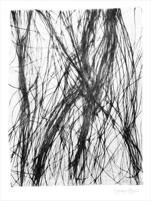 Free Flow II Poster Print - Jennifer Goldberger