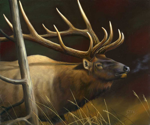 Elk Portrait II Poster Print - Leo Stans