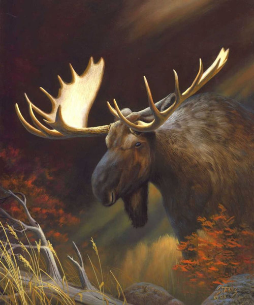 Moose Portrait Poster Print - Leo Stans