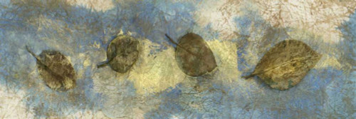 Leaf Banner I Poster Print - Elena Ray