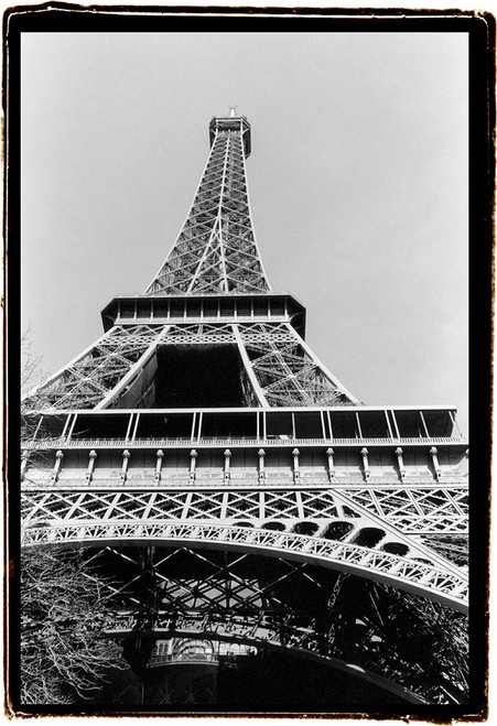 Tour Eiffel Poster Print - Laura DeNardo
