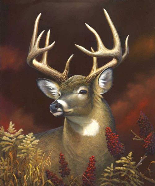 Deer Portrait Poster Print - Leo Stans