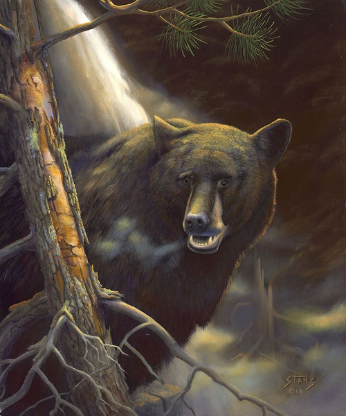 Bear Portrait Poster Print - Leo Stans