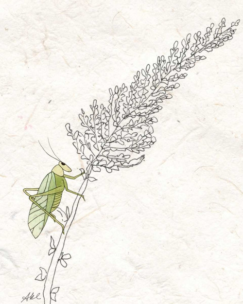 Summer Chorus III Poster Print - Alicia Ludwig